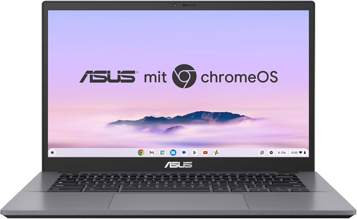 ASUS Chromebook Plus CX34 - 14 Zoll Full HD IPS Display - Intel Core i3 1215U 8 GB RAM - 128 GB UFS ChromeOS QWERTZ Rocky Grey