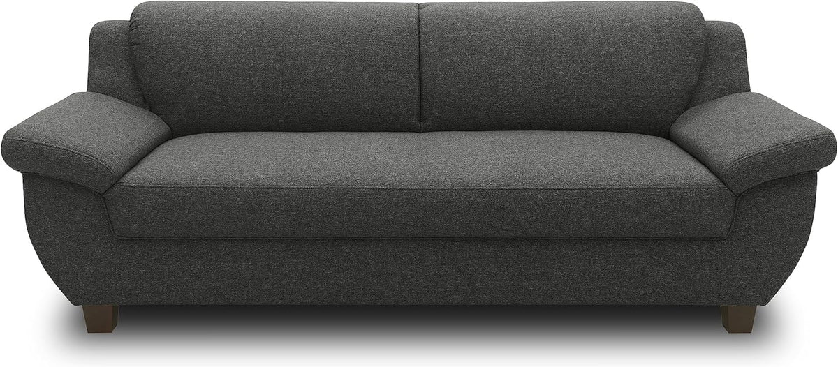 DOMO collection Panama 3 Sitzer Sofa - 207 cm breite 3er Couch für Wohnzimmer - Moderne Polstergarnitur bis 300 kg - Anthrazit